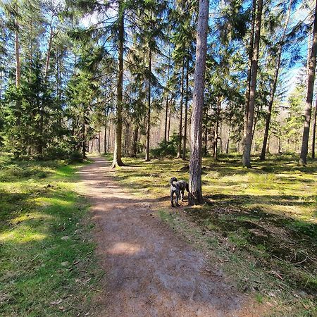 Ferienwohnung Schuberski Lipperreihe Екстериор снимка
