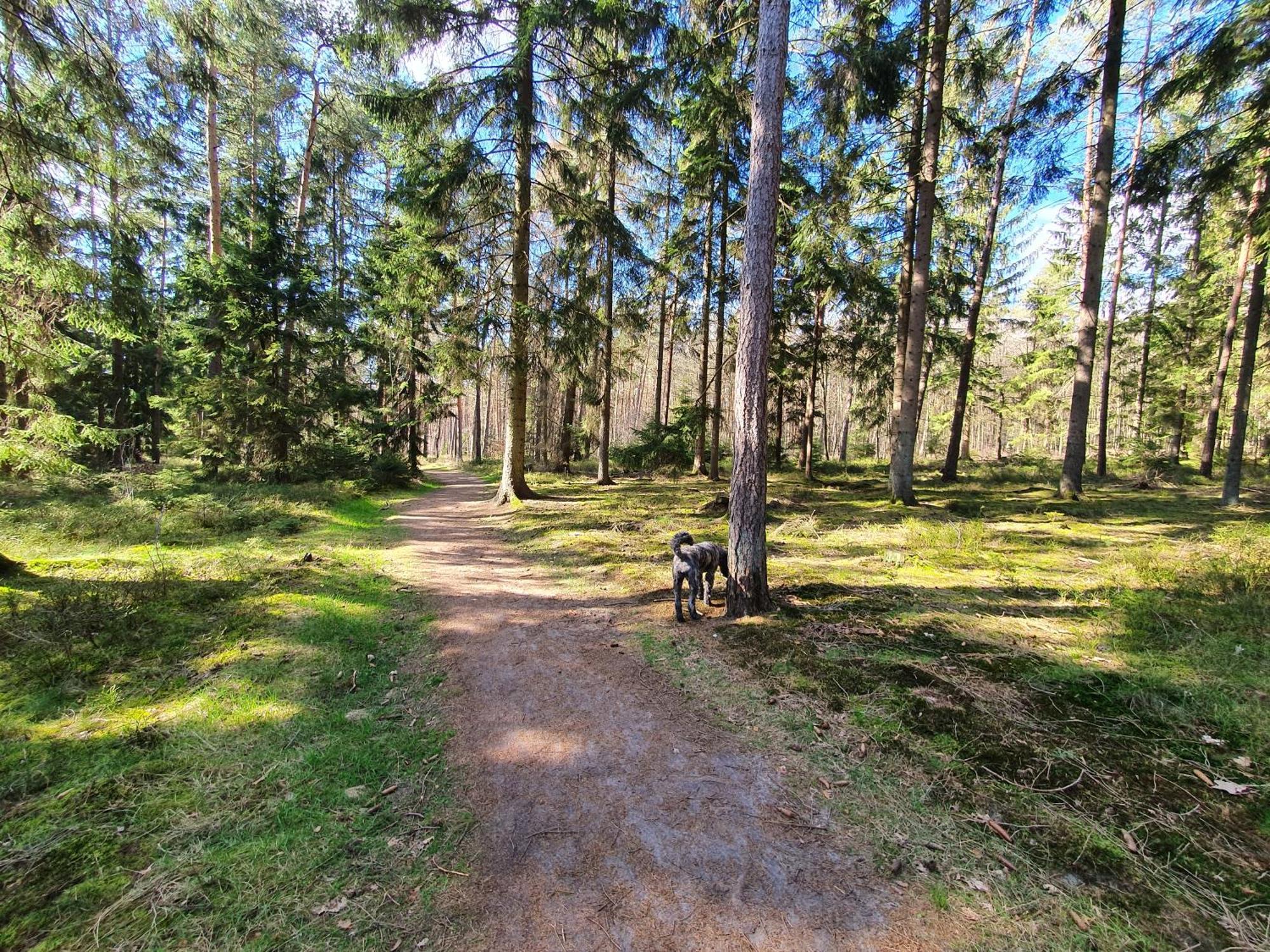 Ferienwohnung Schuberski Lipperreihe Екстериор снимка